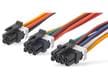 Micro-Fit Dual-Row TPA Cable Assemblies